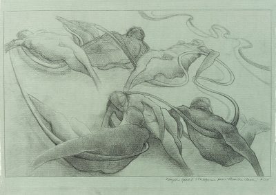 Carbon pencil on paper, 2010 40 x 64 cm (15,7 x 25 in) FOR SALE